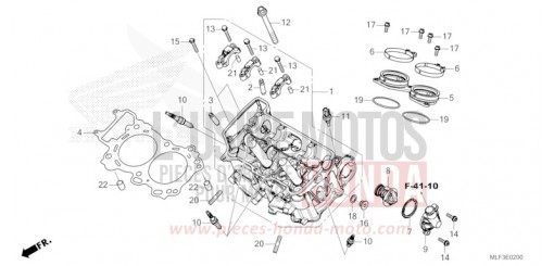 CULASSE NT1100AP de 2023